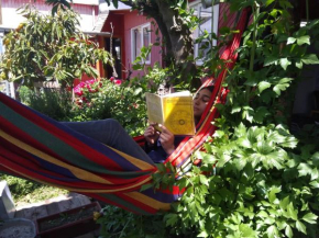 Casa raíces